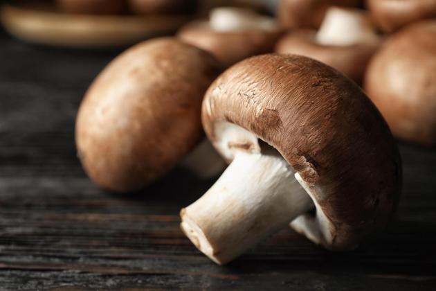 Scelta Mushrooms processes mushrooms for the 25 leading food companies worldwide